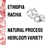 Ethiopiarachianaturalweb
